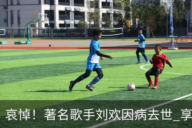 哀悼！著名歌手刘欢因病去世 享年63岁